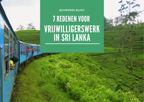 7 redenen voor vrijwilligerswerk in Sri Lanka