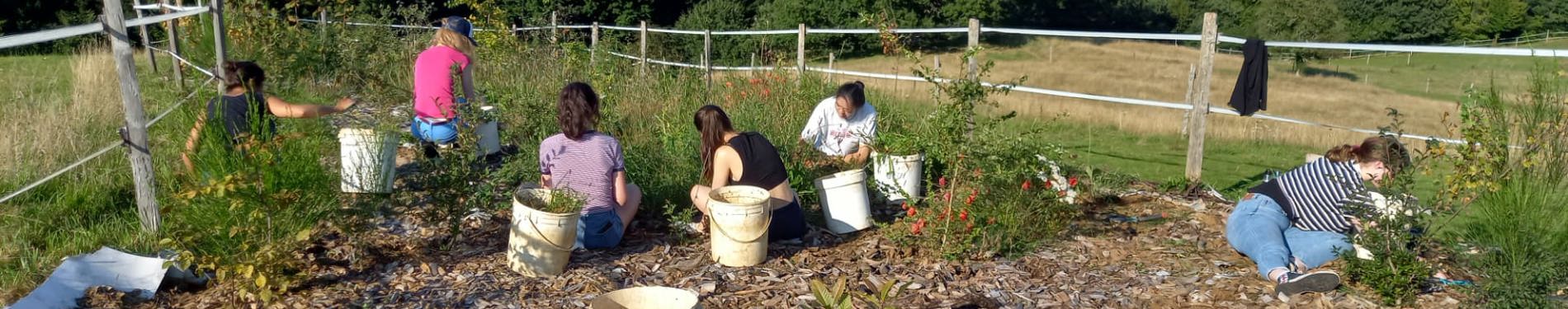 Bouworde ecologisch vrijwilligerswerk in België