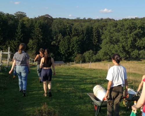 vrijwilligerswerk in Orval_5 vrijwilligers met kruiwagen tegen groene heuvel