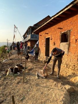 Vrijwilligerswerk In Nepal Langdurig Met Bouworde