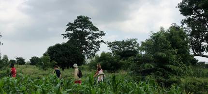 Vrijwilligerswerk Togo Natuur Wandelen